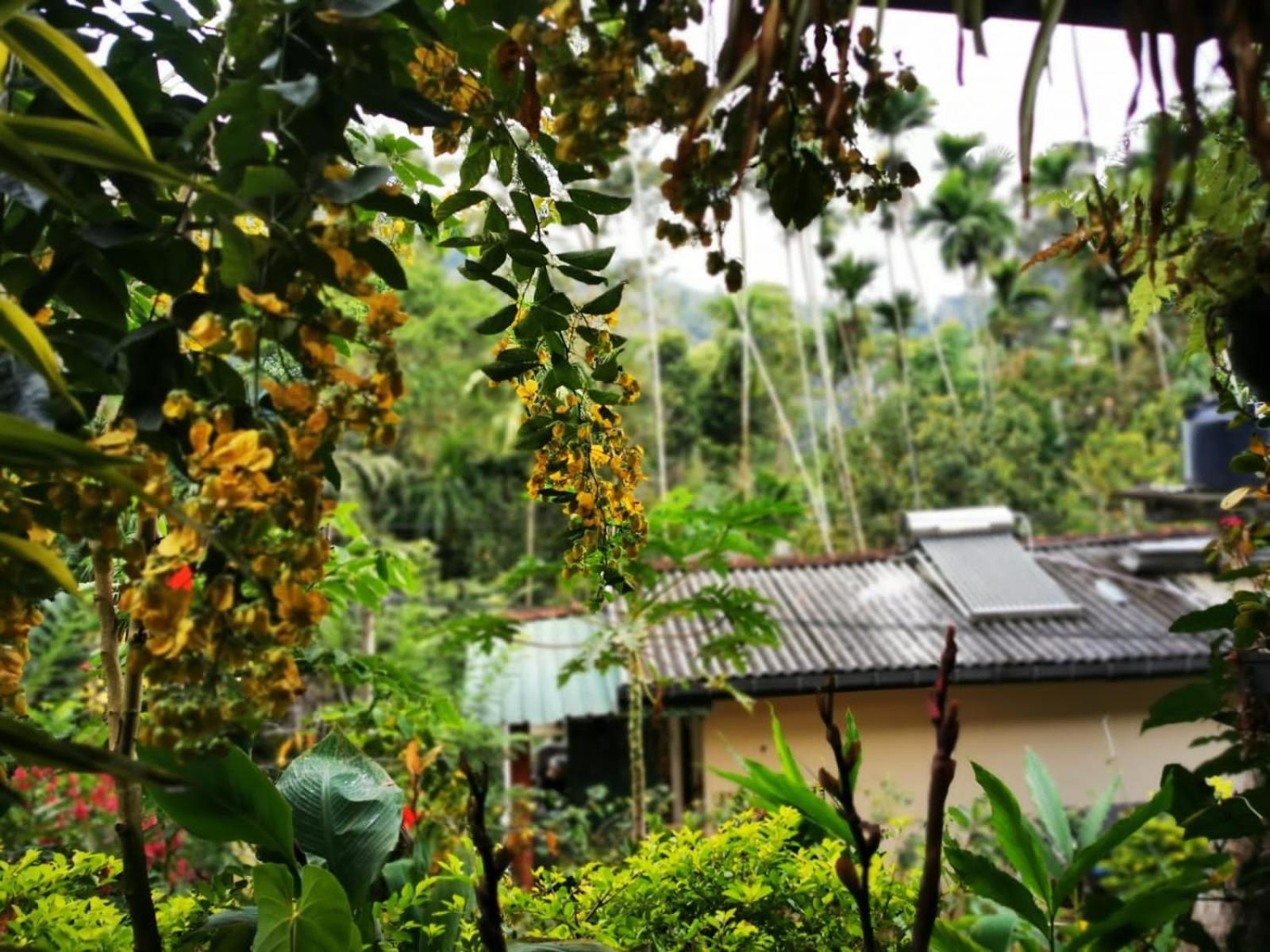 Cozy Homestay Waterfall Road Ella Exteriör bild