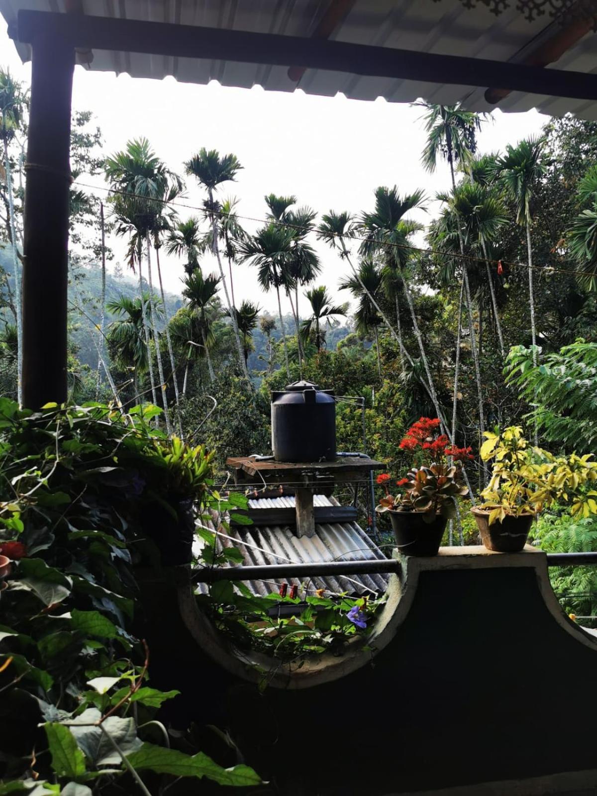 Cozy Homestay Waterfall Road Ella Exteriör bild