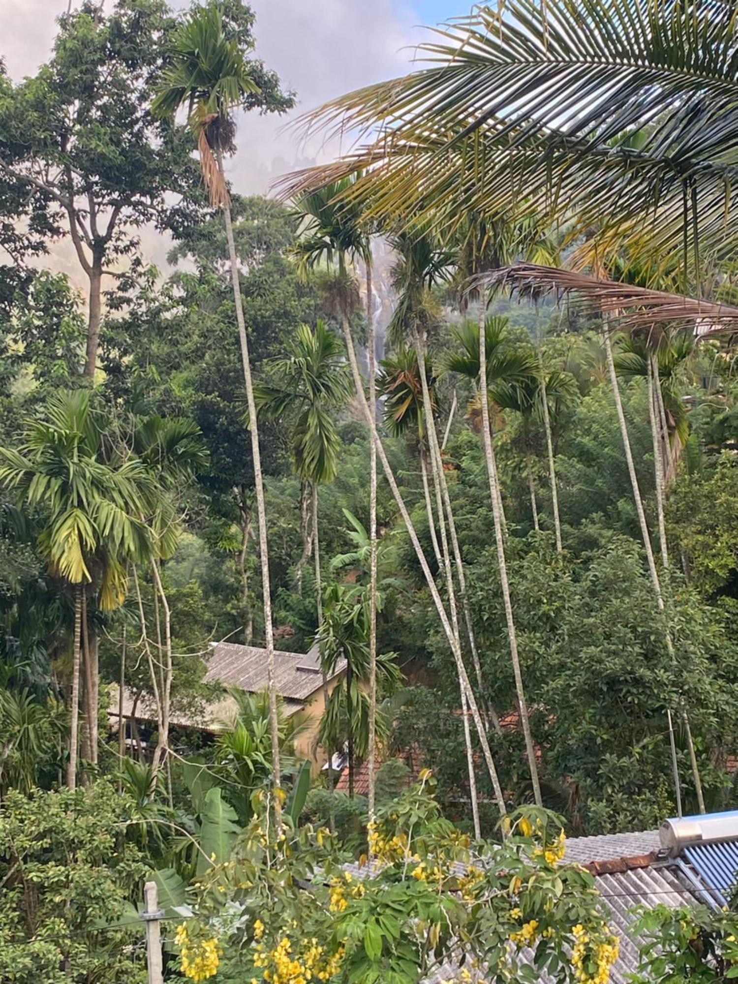 Cozy Homestay Waterfall Road Ella Exteriör bild