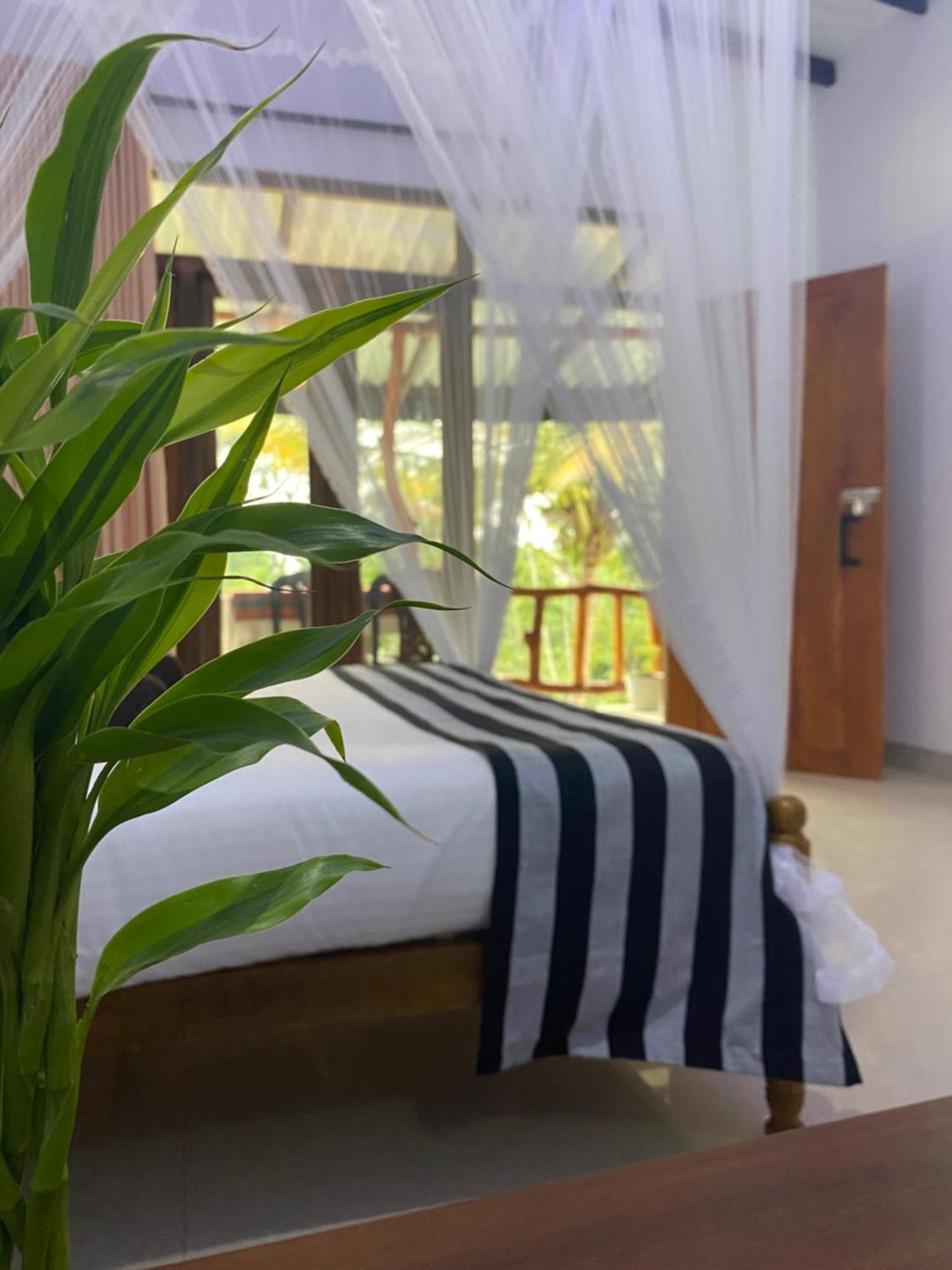 Cozy Homestay Waterfall Road Ella Exteriör bild