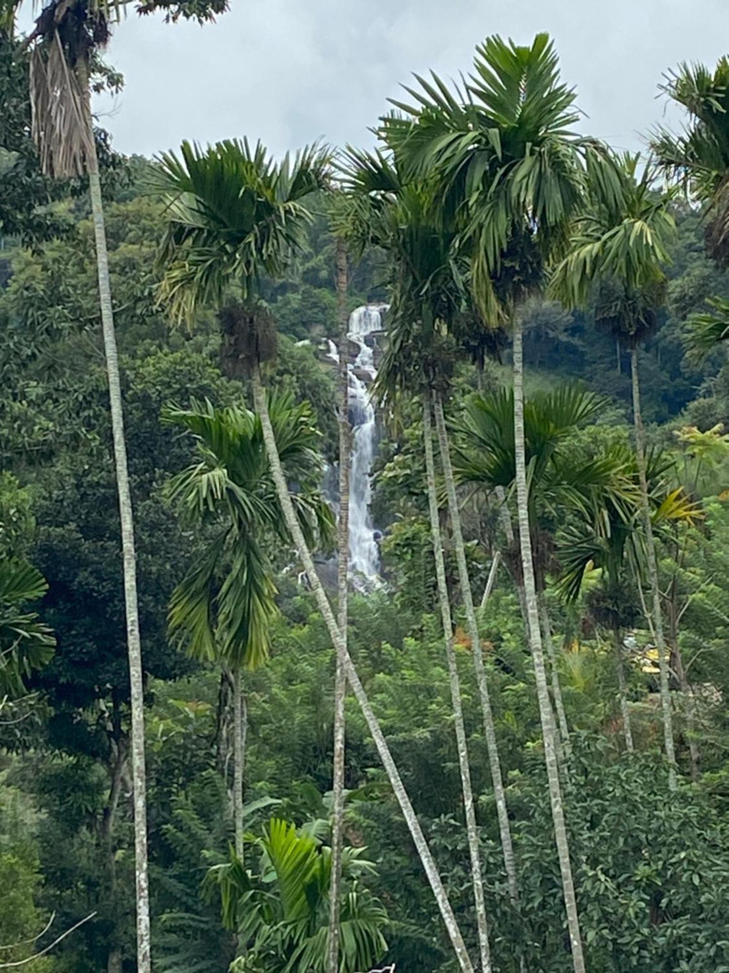 Cozy Homestay Waterfall Road Ella Exteriör bild