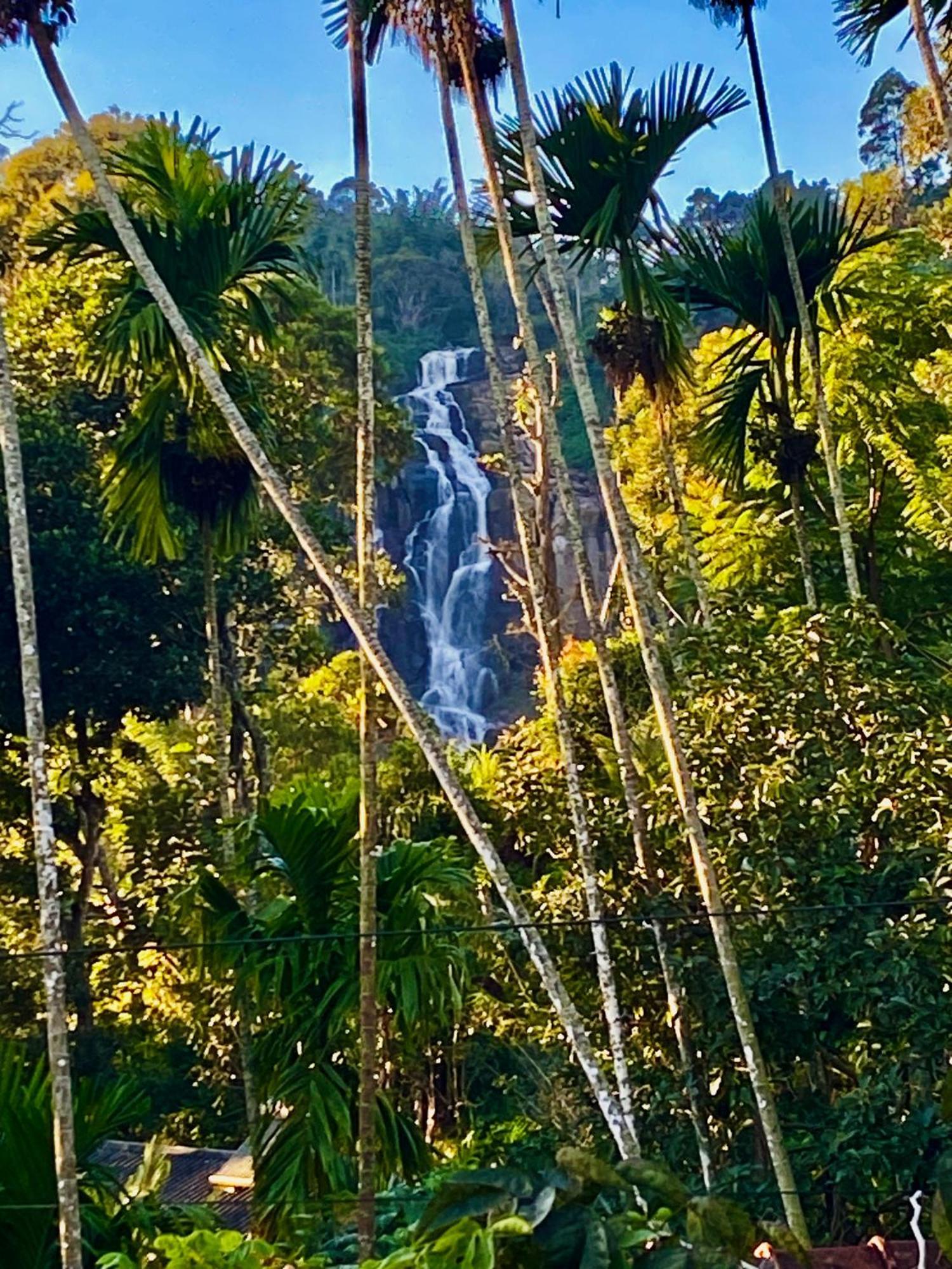 Cozy Homestay Waterfall Road Ella Exteriör bild
