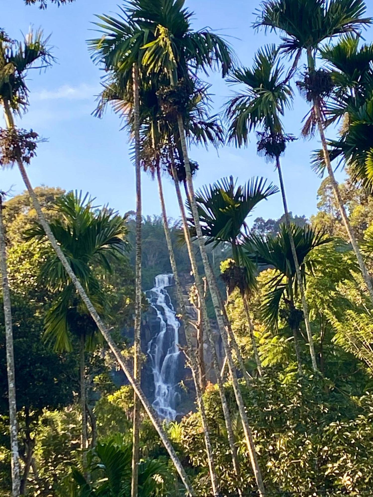 Cozy Homestay Waterfall Road Ella Exteriör bild