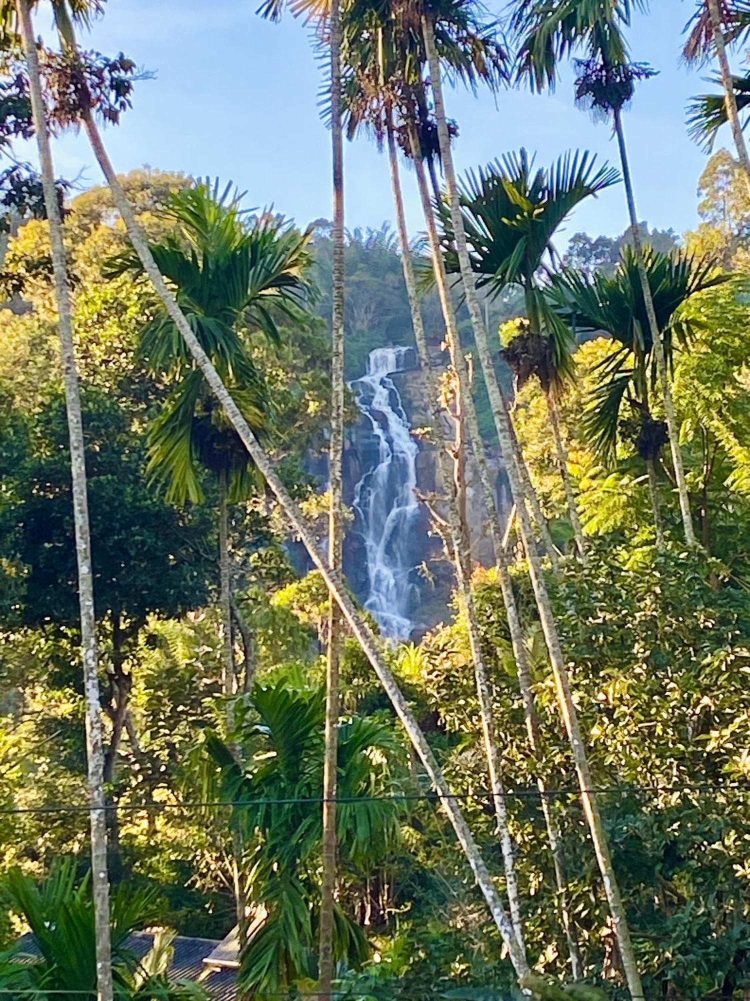 Cozy Homestay Waterfall Road Ella Exteriör bild