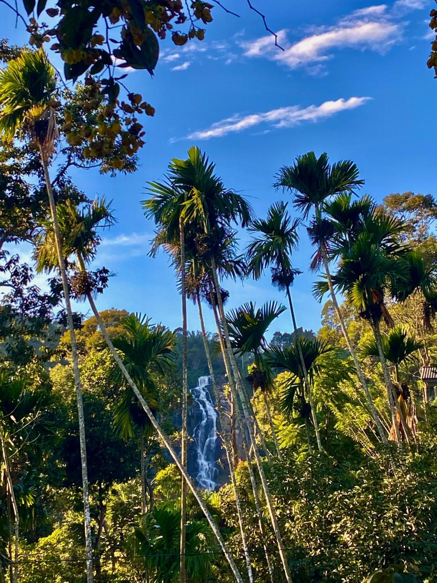 Cozy Homestay Waterfall Road Ella Exteriör bild
