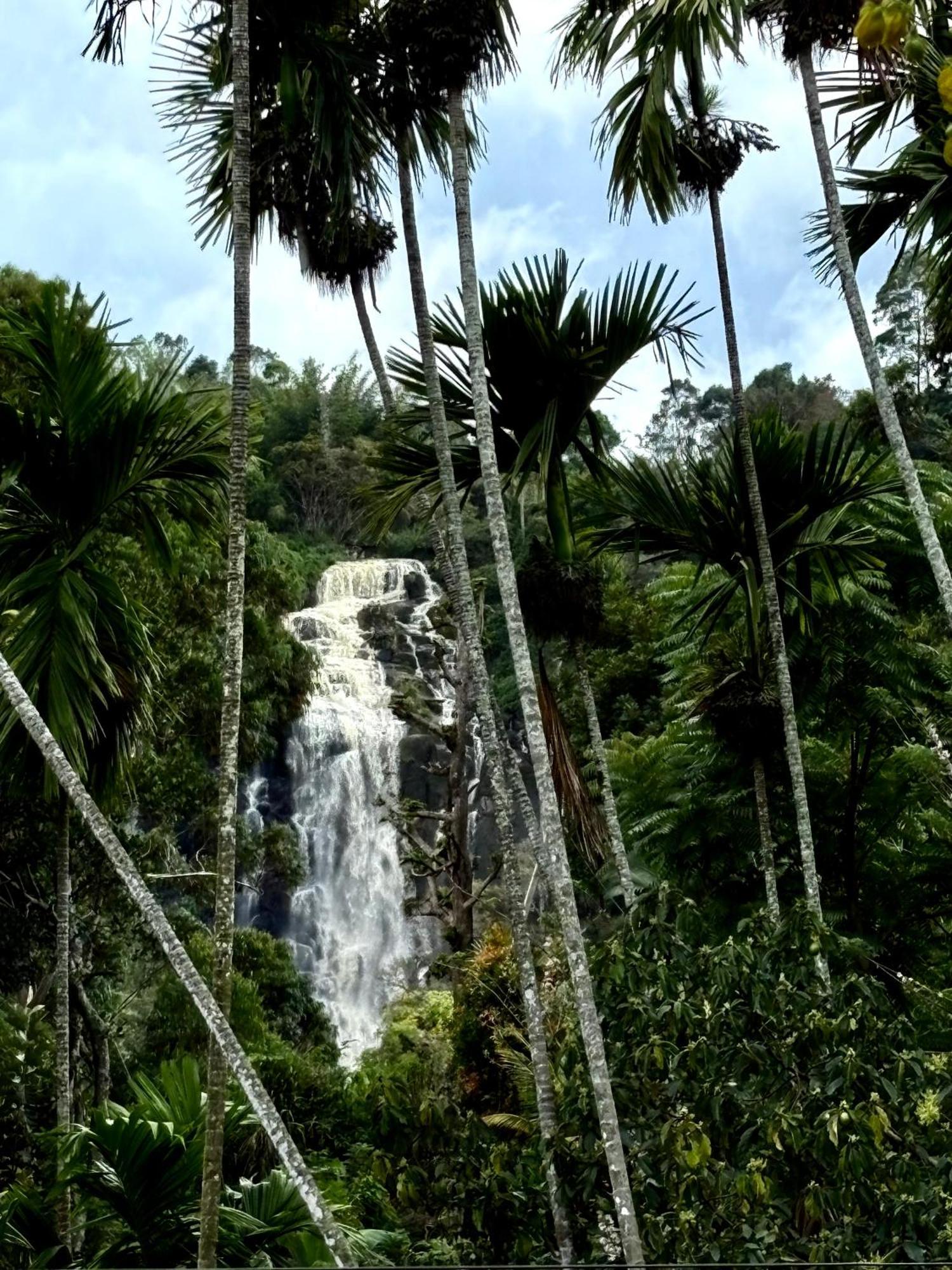 Cozy Homestay Waterfall Road Ella Exteriör bild